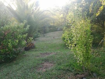 Casa en Parcela de 5.000.- Mts2 en Sector Rabones