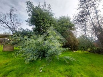 Casa en Venta en El Principal/ Camino Orilla del Río