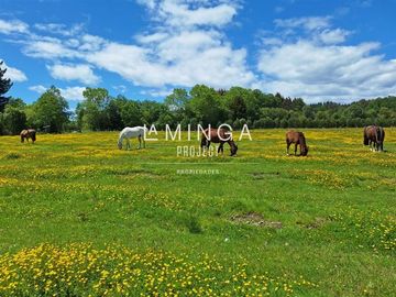 Agrícola en Venta en camino Los Lagos