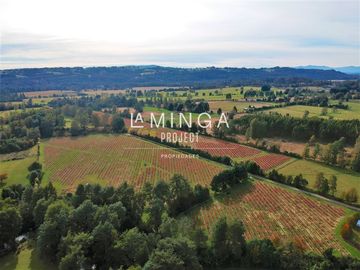 Agrícola en Venta en camino Los Lagos