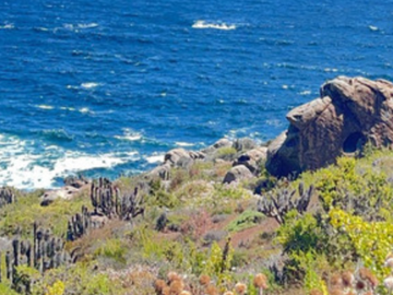 VENTA TERRENO - SITIO 6200MTS Coquimbo