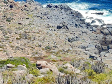 VENTA TERRENO - SITIO 6200MTS Coquimbo