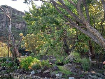 MONTAÑA LUNA Casa en renta en Tepoztlán Centro