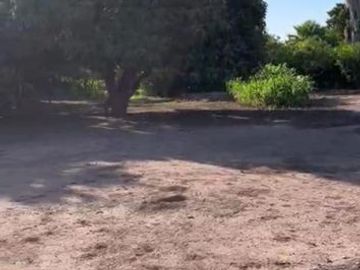 TERRENO EN VENTA EN ANGOSTURA, SINALOA
