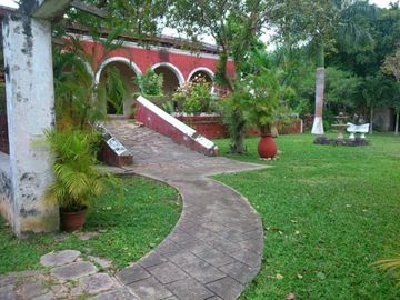 EN VENTA HERMOSA HACIENDA KANYUYUN| CARRETERA TIXKOKOB