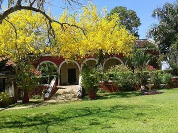 EN VENTA HERMOSA HACIENDA KANYUYUN| CARRETERA TIXKOKOB
