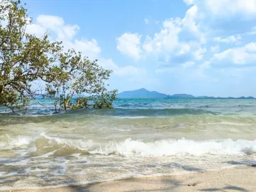 Land for sale in Ko Libong, Trang