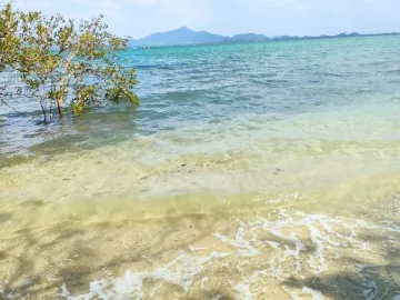 Land for sale in Ko Libong, Trang