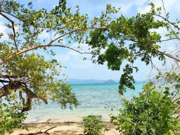 Land for sale in Ko Libong, Trang
