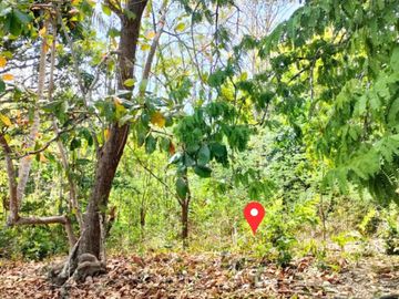 Land for sale in Ko Libong, Trang