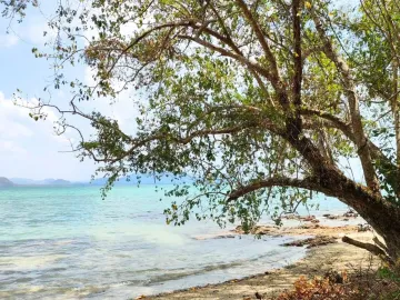 Land for sale in Ko Libong, Trang