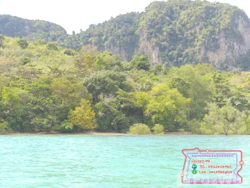 Land for sale in Ko Libong, Trang