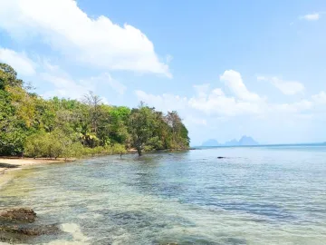 Land for sale in Ko Libong, Trang