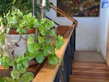 Casa en Venta en Condominio Altos de Santo Domingo
