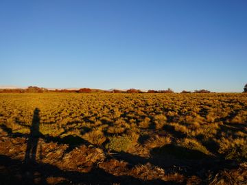 Parcela de 5000mt2 en La Araucania con vista 360 a volcanes especial para randonee moto de nieve