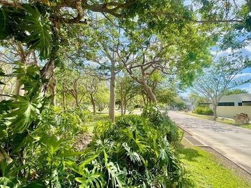 CASA VENTA MÉRIDA, 4 HABITS, ALBERCA, PRIVADA PARQUE NATURA CHOLUL, 214 ,ESTRENA