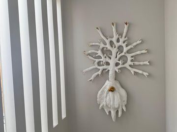 Casa de Ensueño en Jicuri Zibata