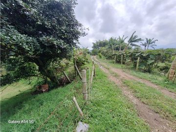 Venta Finca Filandia Quindio - Colombia COD: 8975599