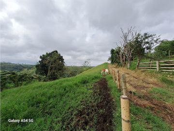 Venta Finca Filandia Quindio - Colombia COD: 8975599