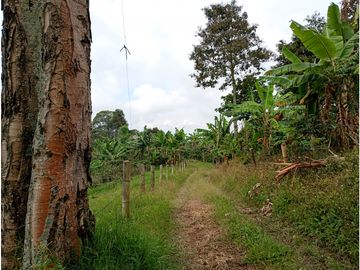 Venta Finca Filandia Quindio - Colombia COD: 8975599