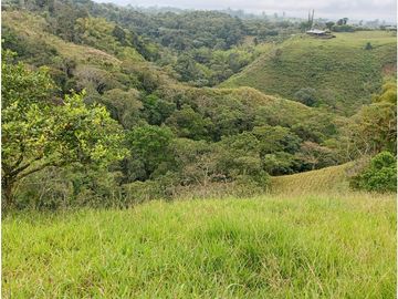 Venta Finca Filandia Quindio - Colombia COD: 8975599