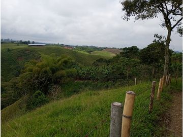 Venta Finca Filandia Quindio - Colombia COD: 8975599
