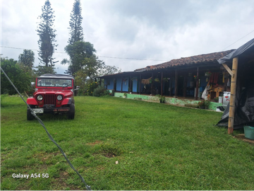 Venta Finca Filandia Quindio - Colombia COD: 8975599