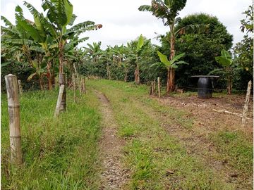 Venta Finca Filandia Quindio - Colombia COD: 8975599