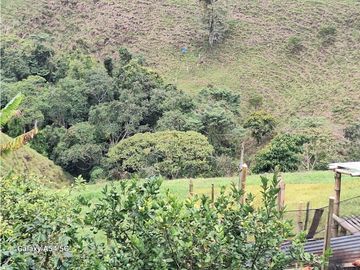 Venta Finca Filandia Quindio - Colombia COD: 8975599
