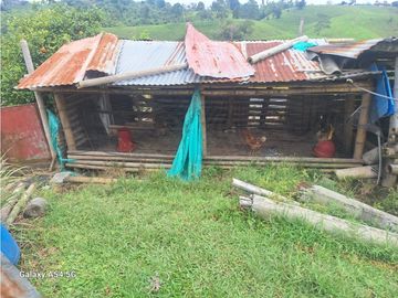 Venta Finca Filandia Quindio - Colombia COD: 8975599