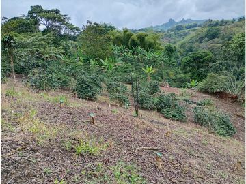 Venta Finca Filandia Quindio - Colombia COD: 8975599