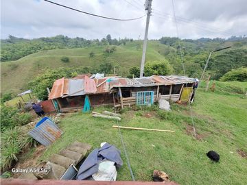 Venta Finca Filandia Quindio - Colombia COD: 8975599