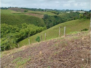 Venta Finca Filandia Quindio - Colombia COD: 8975599