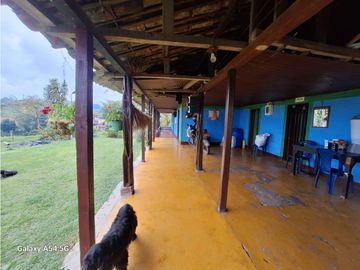 Venta Finca Filandia Quindio - Colombia COD: 8975599