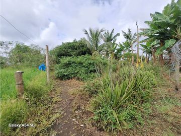 Venta Finca Filandia Quindio - Colombia COD: 8975599