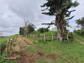 Venta Finca Filandia Quindio - Colombia COD: 8975599
