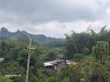 Venta Finca Filandia Quindio - Colombia COD: 8975599