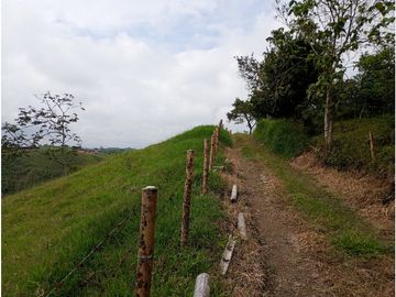 Venta Finca Filandia Quindio - Colombia COD: 8975599