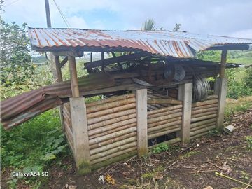 Venta Finca Filandia Quindio - Colombia COD: 8975599