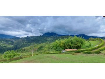 VENDO FINCA VENECIA ANTIOQUIA