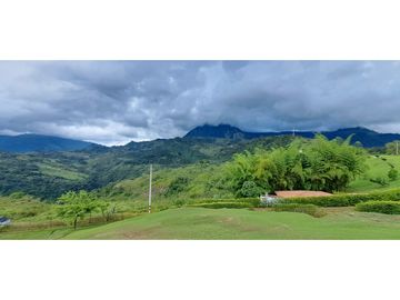 VENDO FINCA VENECIA ANTIOQUIA