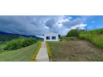 VENDO FINCA VENECIA ANTIOQUIA