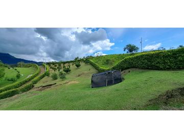 VENDO FINCA VENECIA ANTIOQUIA