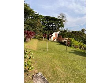 VENDO FINCA FREDONIA ANTIOQUIA