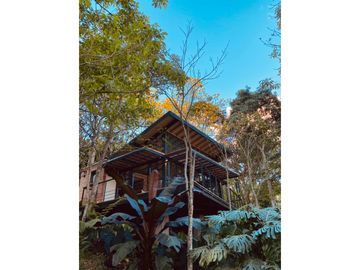 VENDO FINCA FREDONIA ANTIOQUIA