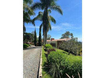 VENDO FINCA FREDONIA ANTIOQUIA