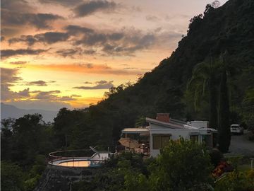 VENDO FINCA FREDONIA ANTIOQUIA