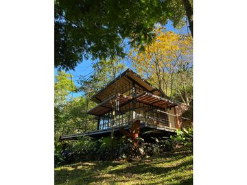 VENDO FINCA FREDONIA ANTIOQUIA