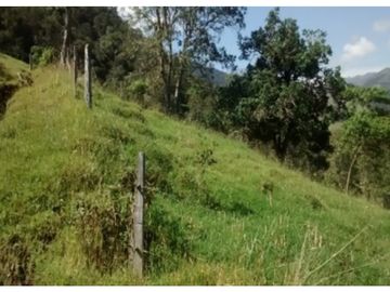 FINCA EN VENTA TENERIFE EL CERRITO VALLE DEL CAUCA