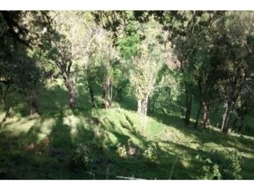 FINCA EN VENTA TENERIFE EL CERRITO VALLE DEL CAUCA